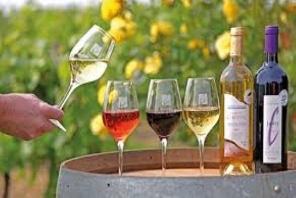 Le Mas De Doat, Gite De Charme 4 Etoiles Dans Le Triangle D Or Proche Gaillac Et Albi Senouillac Εξωτερικό φωτογραφία