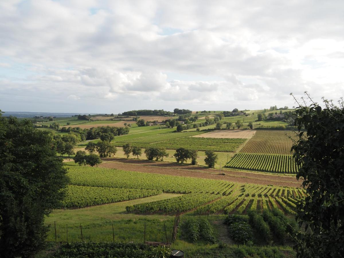 Le Mas De Doat, Gite De Charme 4 Etoiles Dans Le Triangle D Or Proche Gaillac Et Albi Senouillac Εξωτερικό φωτογραφία